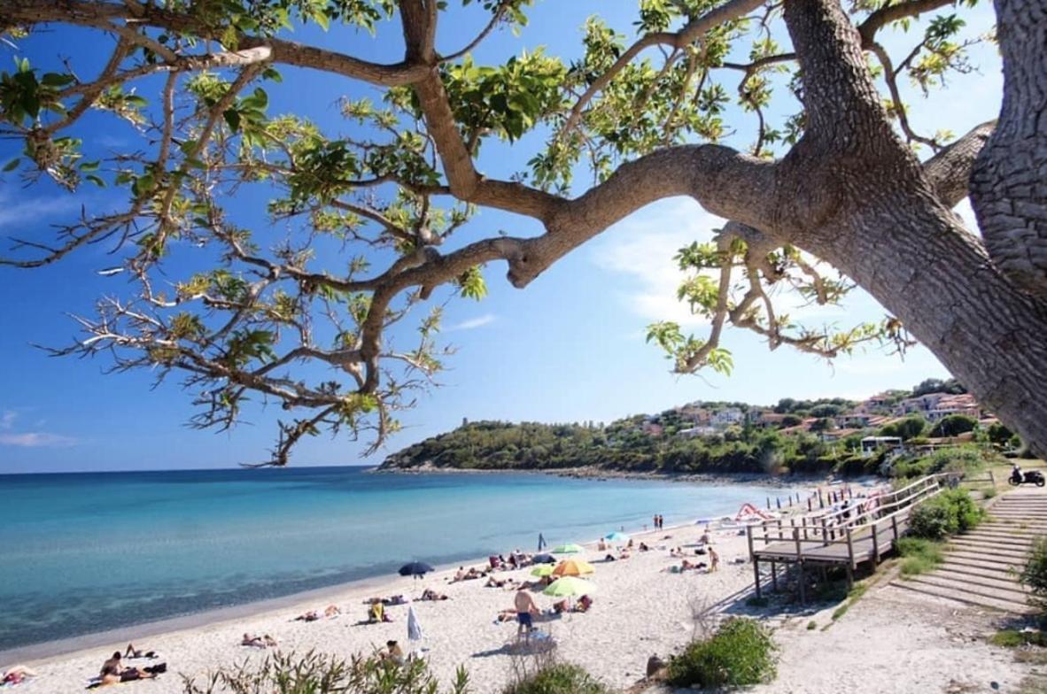 Appartamenti Gaimaro' A 50 M Dalla Spiaggia Àrbatax Eksteriør bilde